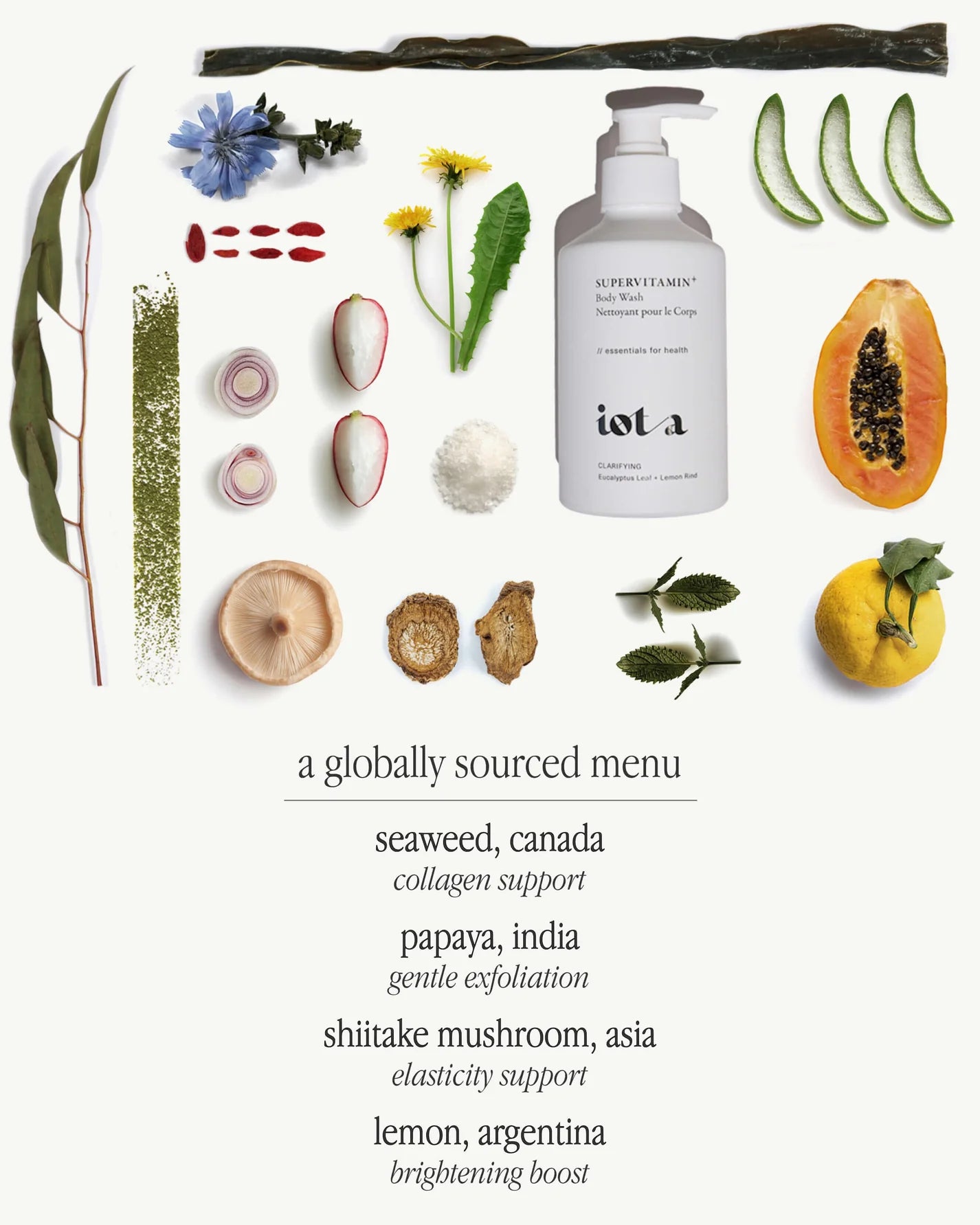 iota Body Supervitamin Body Wash+ Clarifying Eucalyptus Rind + Lemon Rind