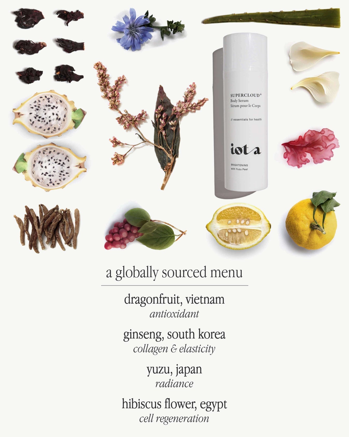 iOta Supercloud Body Serum powerhouse serum for deep hydration, cloud-like softness, even texture & glow. Formulated with Japanese Yuzu + face-grade Copper Peptides